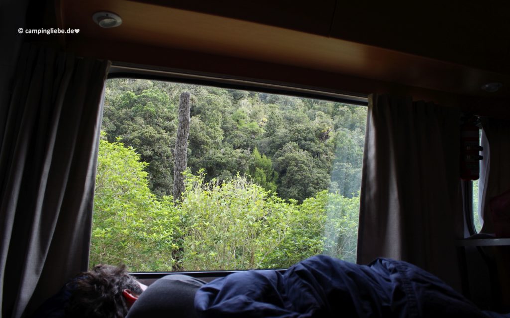 Im Wohnmobil in Neuseeland im Dschungel