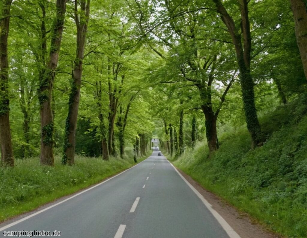 Roadtrips in Deutschland » Die besten Routen entdecken
